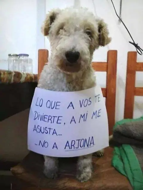 100 imagenes graciosas parte 28