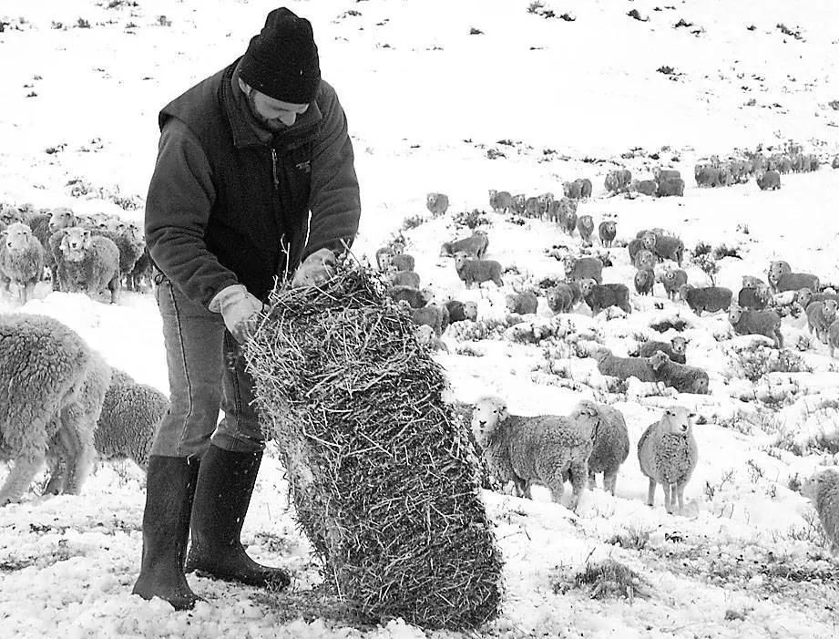 Un Violento temporal de viento y nieve 1995 Un Violento temporal de viento y nieve 1995