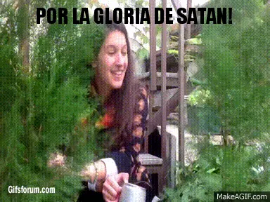 videos de terror videos de terror