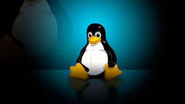 Los riesgos de ejecutar el kernel de Linux en Windows 10