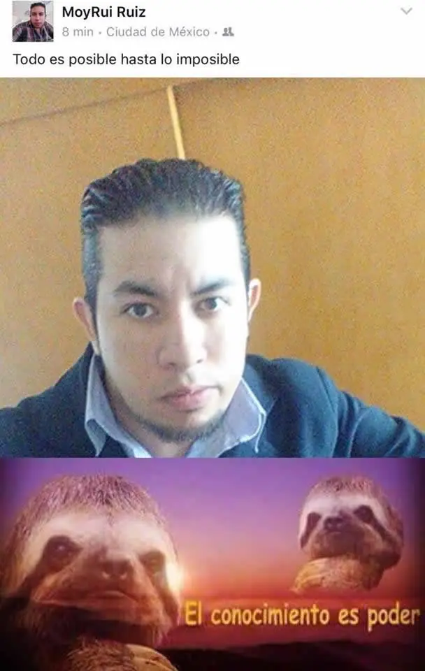 fotos