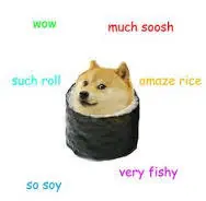 doge png