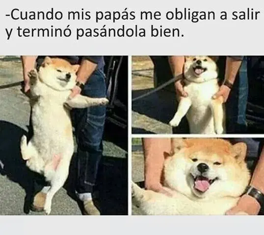 37 imágenes de Humor para desvelados [Memes]
