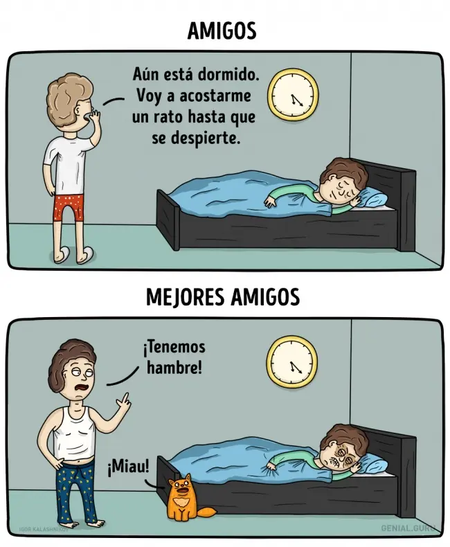 mejor