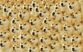 doge meme