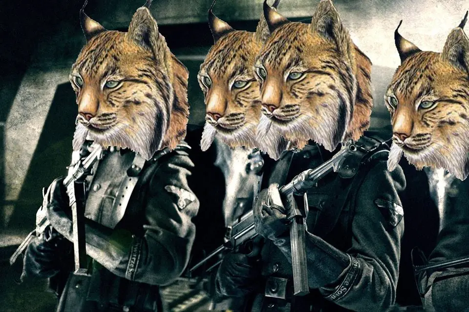 ejercito de linces