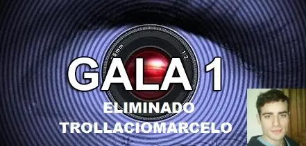 gran hermano taringa
