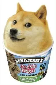 doge gif
