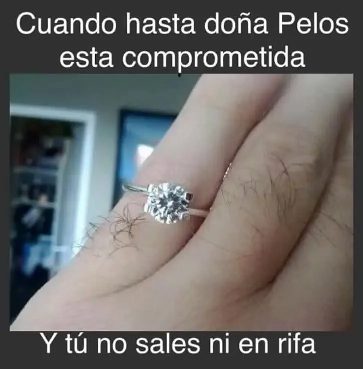 taringa
