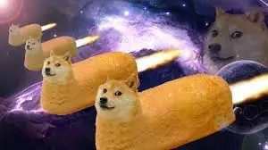 DOGE YO TE BANCO tu eres el mejor perro de internet