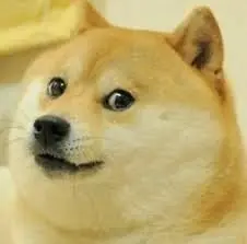 Doge yo te banco tu eres el mejor perro de internet