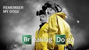 DOGE YO TE BANCO tu eres el mejor perro de internet