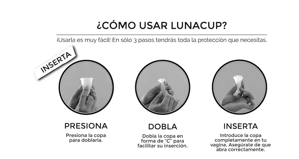 intima