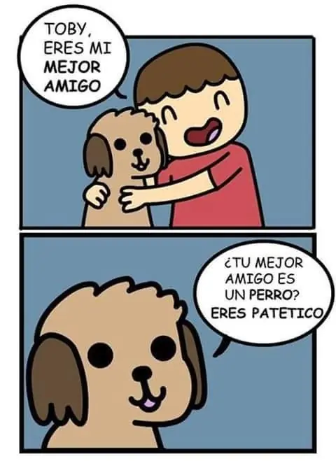 memes