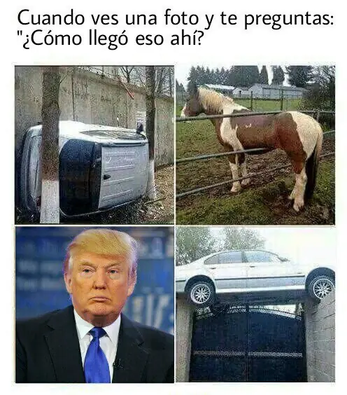 37 imágenes de Humor para desvelados [Memes]