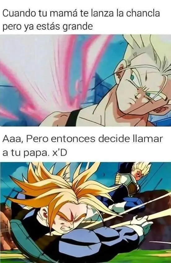 desvelados