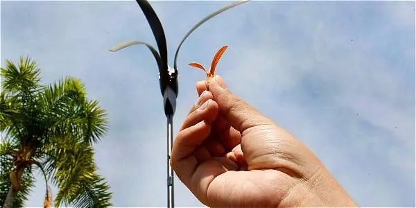 "Semilla" para generar energía eólica
