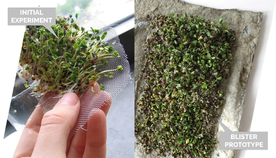 The Grow, la máquina que cultiva brotes tiernos en casa
