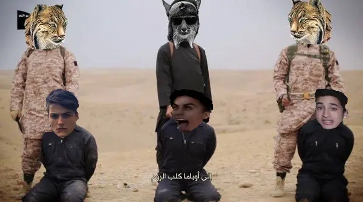 lince army