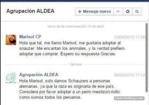 redes sociales redes sociales