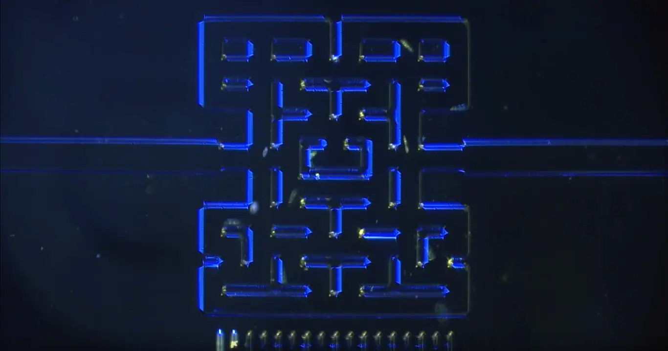 Los organismos microscópicos también saben jugar al Pacman