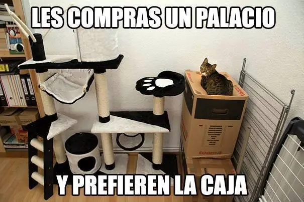 fotos