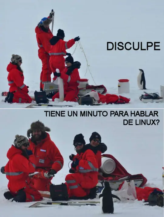 Gifs
