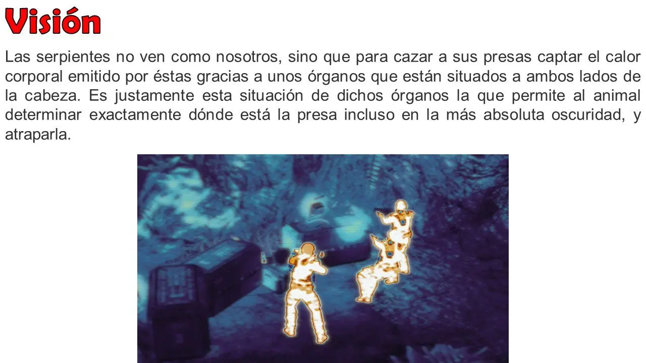 serpientes