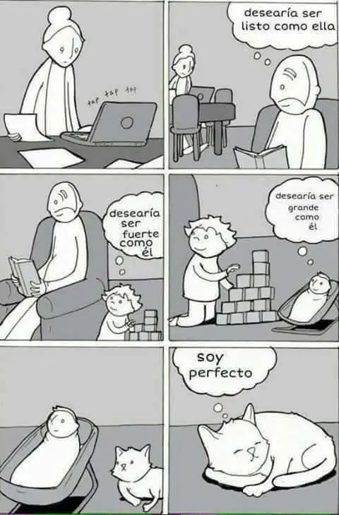 humor