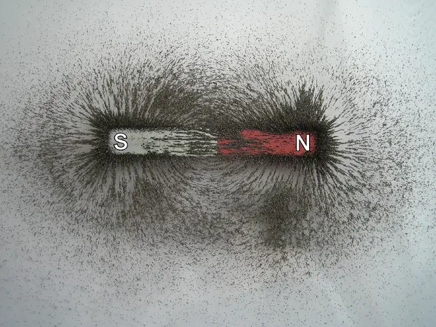 ciencia