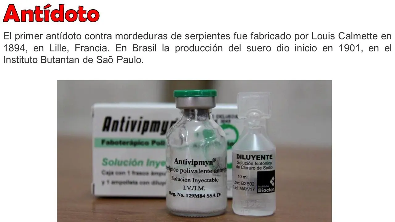serpientes