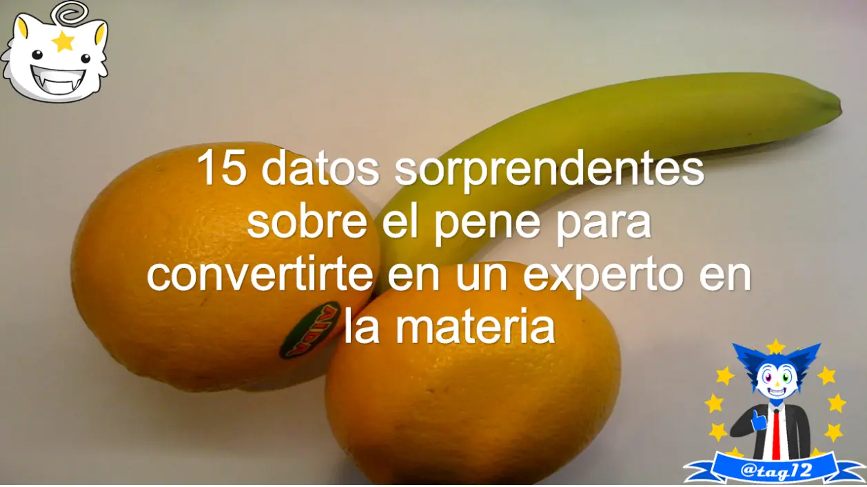 15 datos sorprendentes sobre el pene que seguro no sabias