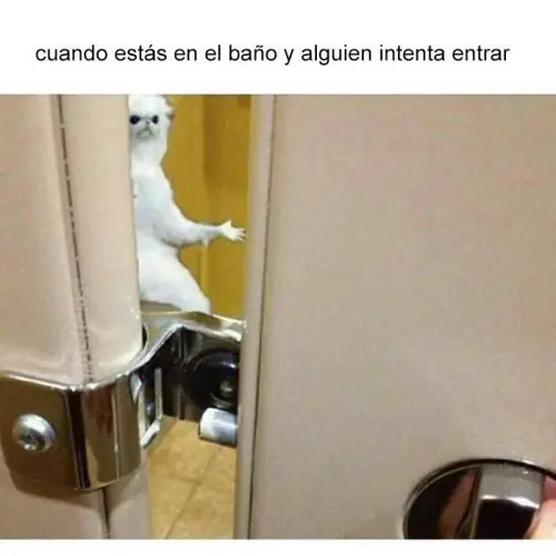 fails
