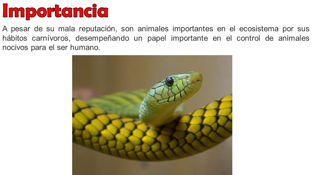 ciencia