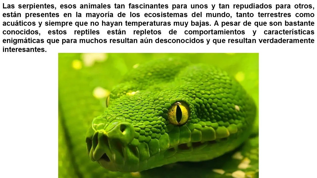ciencia