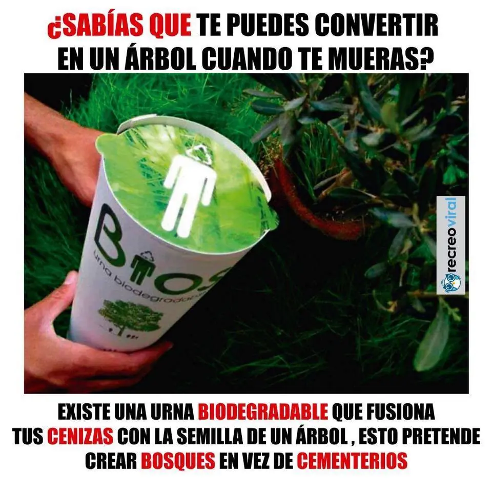 gifs graciosos