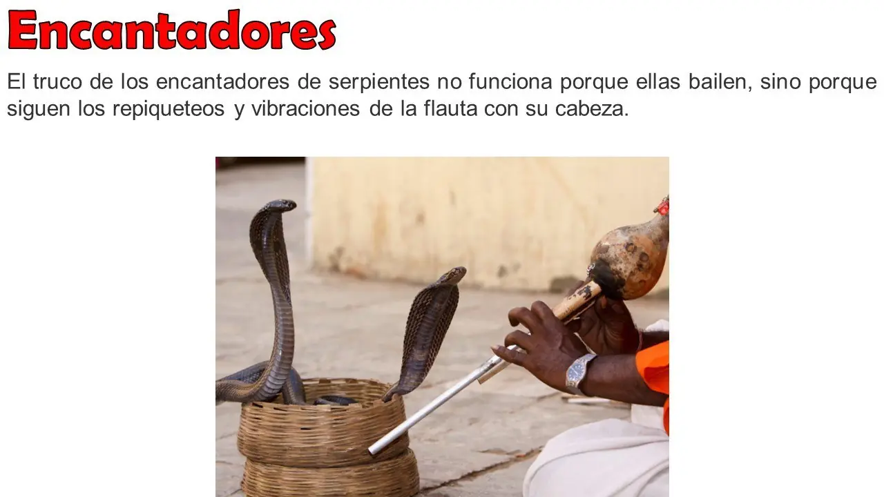 educacion