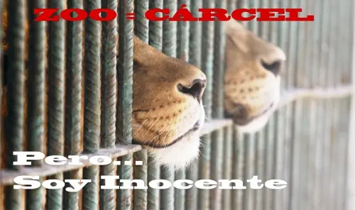 zoo