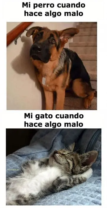 fails