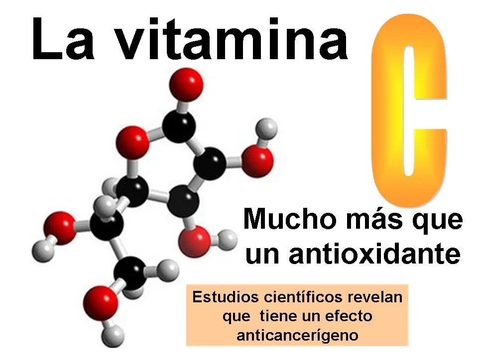 alimentacion saludable