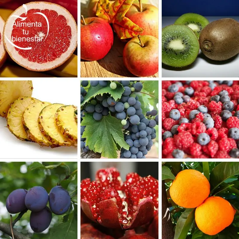 alimentacion balanceada