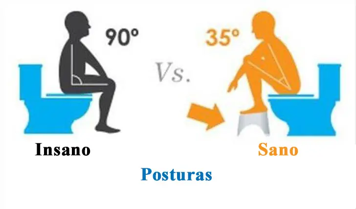 Esta es la manera correcta en que debes ir al baño