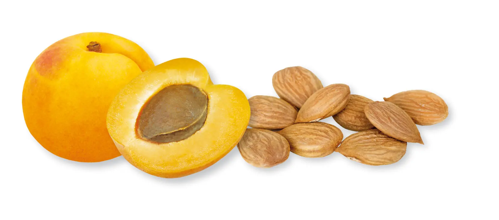 alimentacion balanceada