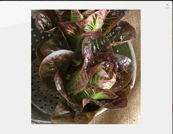 vegetales