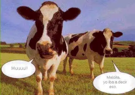 Mundo