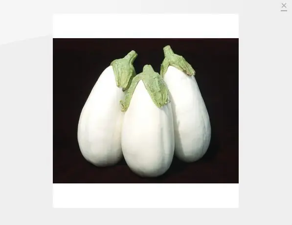 Encontra las verduras raras que buscas parte 2