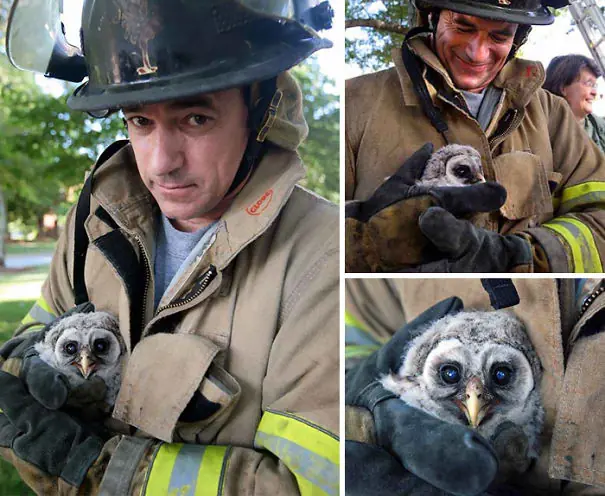 bomberos