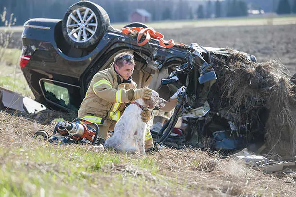 14 fotos de bomberos que arriesgaron sus vidas por animales
