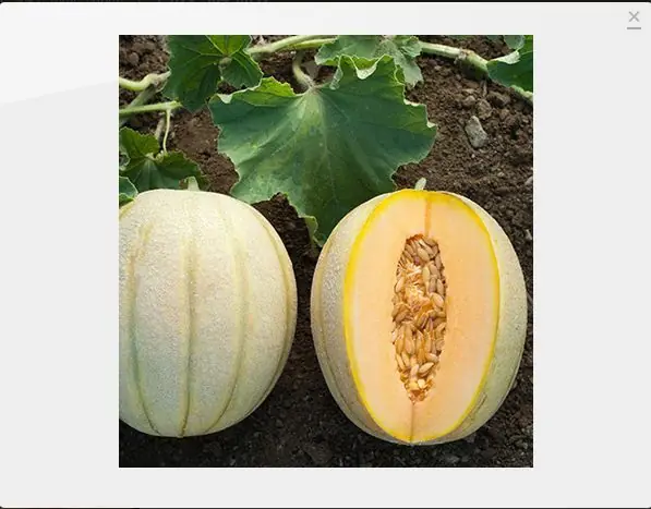 vegetales