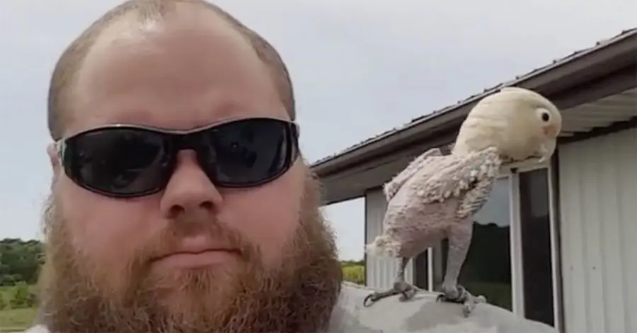 Rescató a este pájaro abandonado